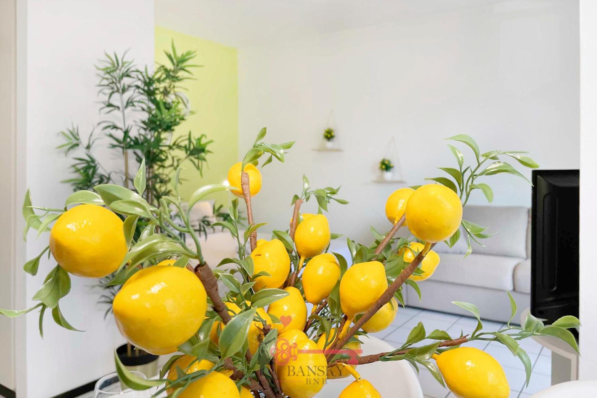 Lime Splendido X4pax -by Easylife Swiss *
